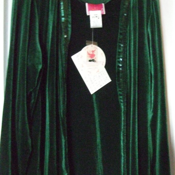 Quacker Factory Green Sequined Stretch Velour Set - Picture 2 of 6